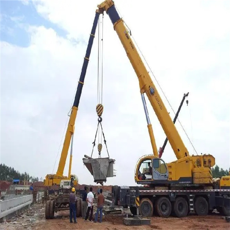 稻城小型吊机出租电话|厂房设备吊装方案|24小时服务覆盖